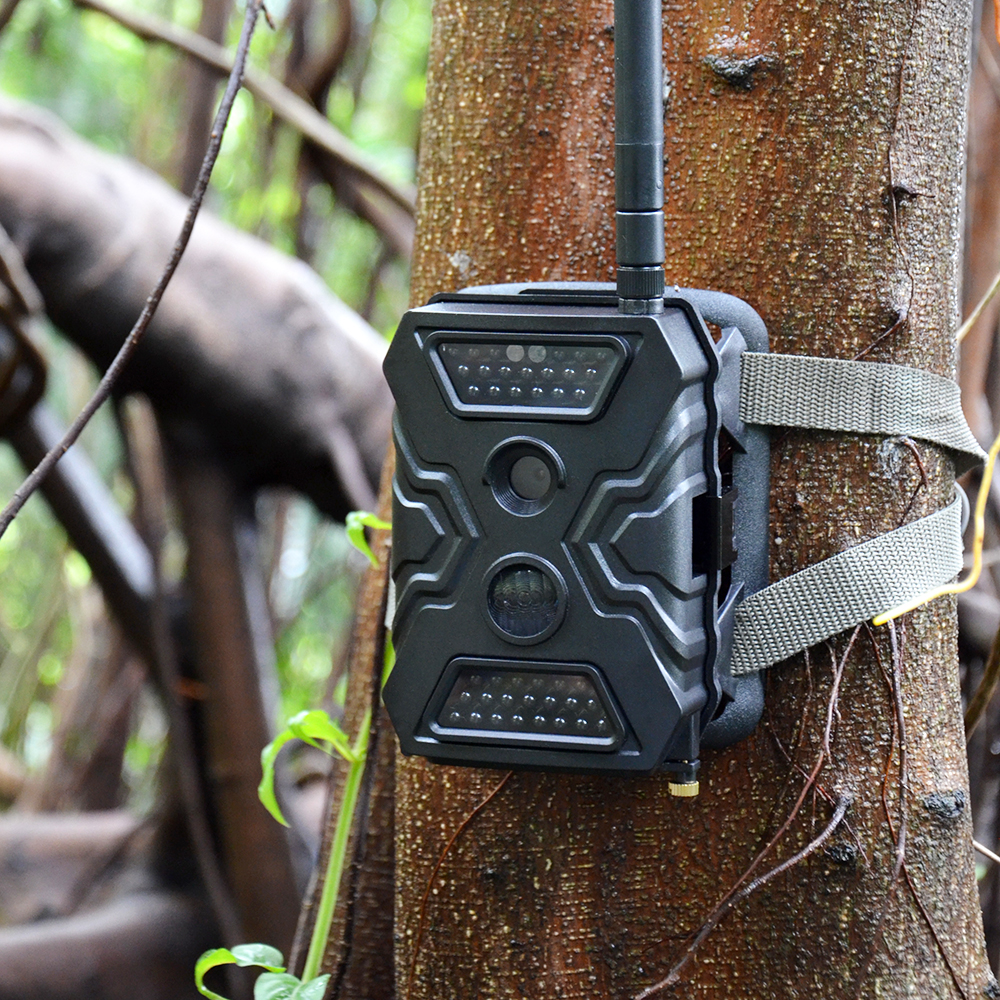 satellite trail camera