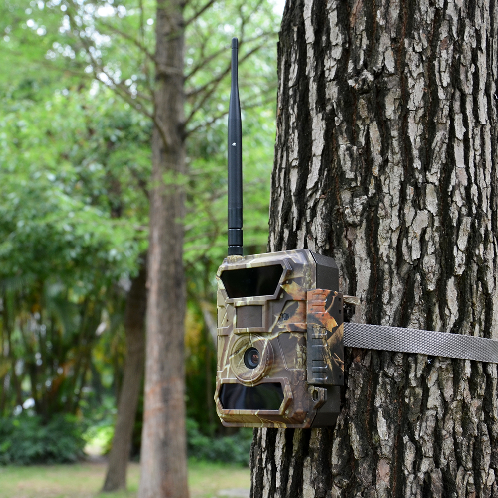 Best cellular online trail camera 2020