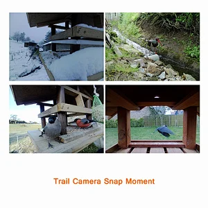 Outdoor Waterproof Infrared Thermal Vision Action Scouting Digital Trail 4G MMS Camera Hunting