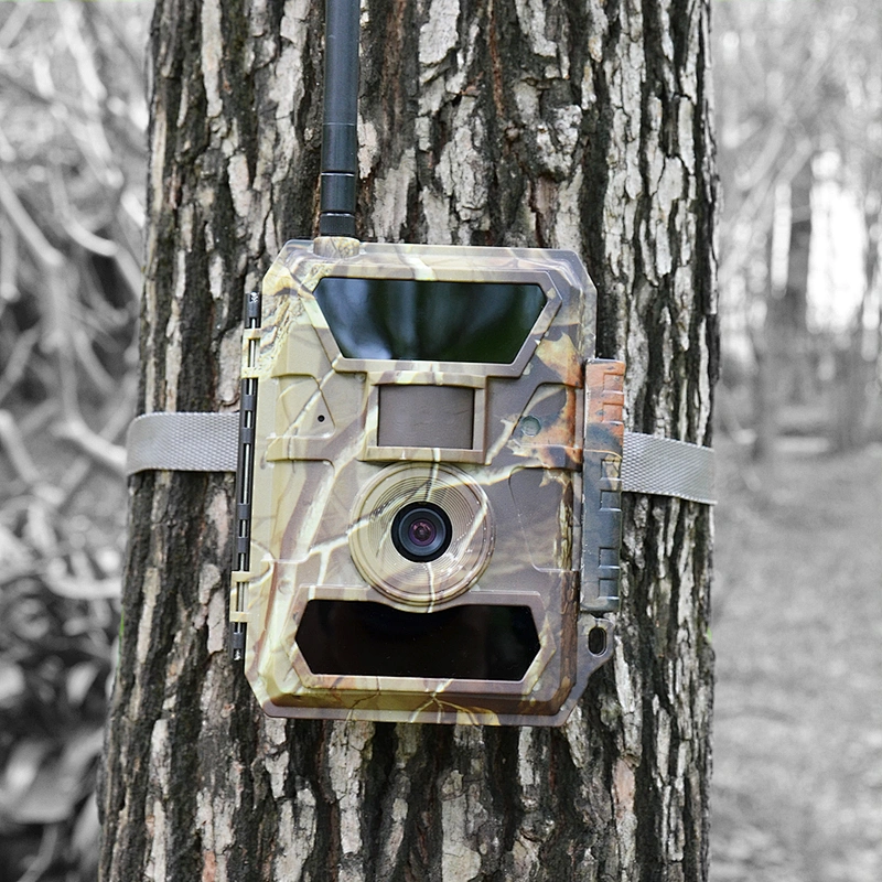Best Top Rated On Sale Motion Sensor Outdoor Waterproof Wildlife Digital Hunting Scouting Trail Mini Cellular Game Cameras