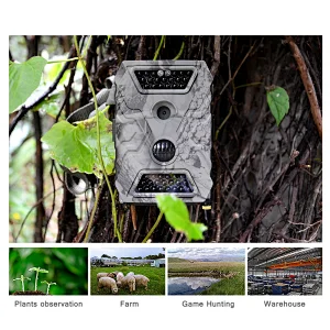 Long time recording motion detection field research site surveillance animal trace trail gprs wildlife photo trap trail camera