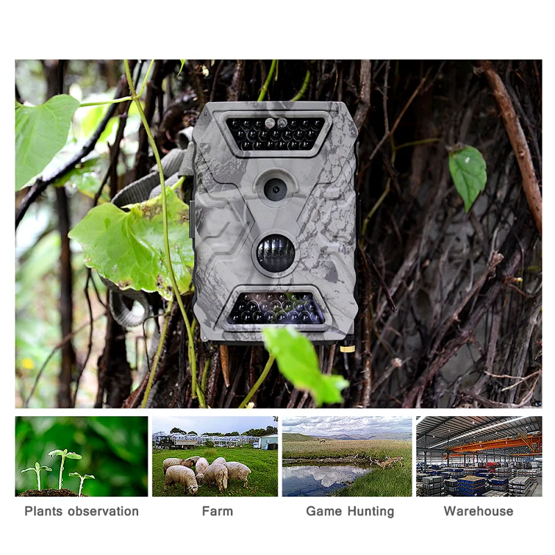 Long time recording motion detection field research site surveillance animal trace trail gprs wildlife photo trap trail camera