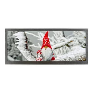 10.3inch lcd monitor HSD103KPW2-A10 with 1920X720 high resolution lcd display module