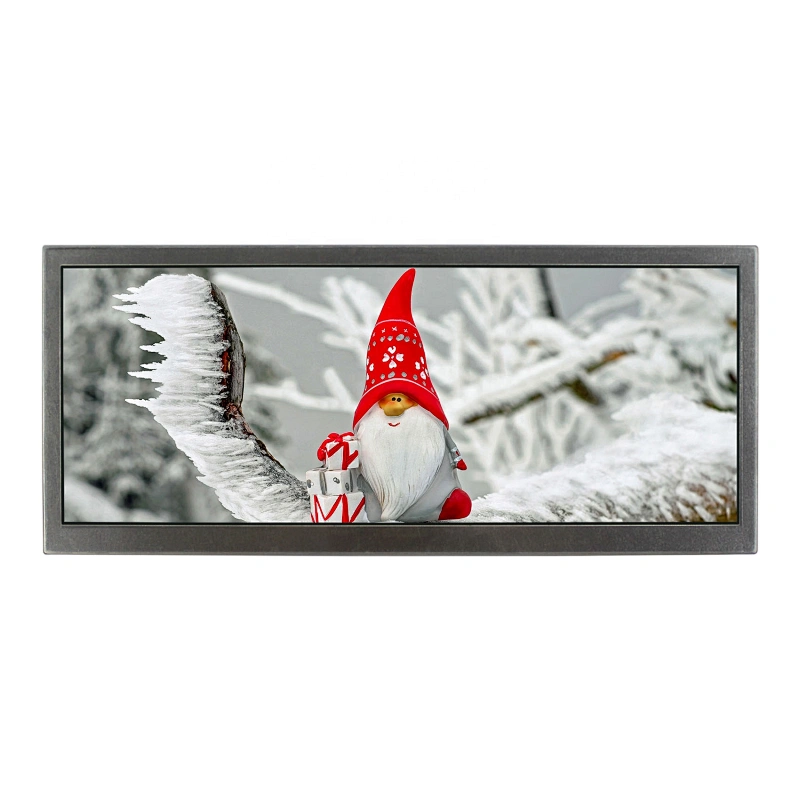 10.3inch lcd monitor HSD103KPW2-A10 with 1920X720 high resolution lcd display module