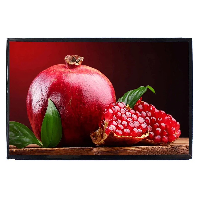 10.1 inch VVX10T025J00 Rerolution 2560x1600 lcd display panel