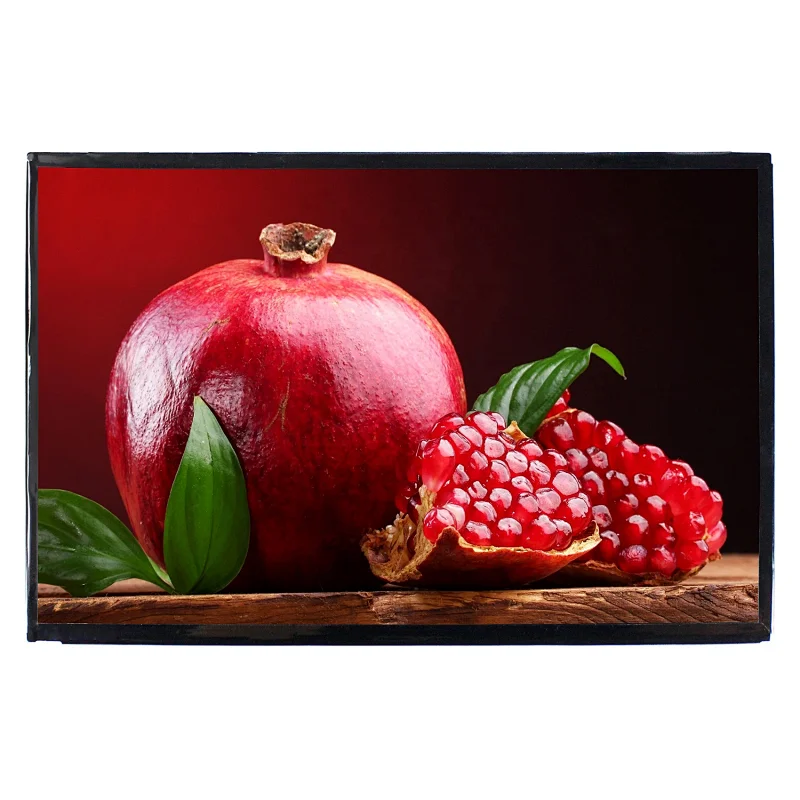 10.1 inch VVX10T025J00 Rerolution 2560x1600 lcd display panel lcd display panel 2560x1600 10.1inch lcd panel