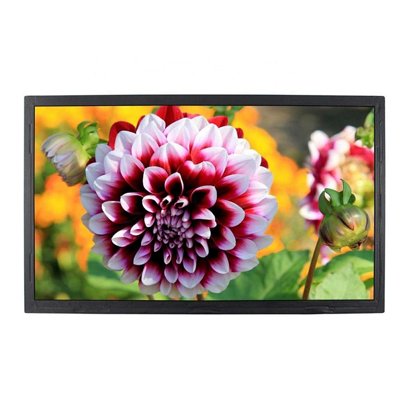 video camera full hd 1920x1080 13.3