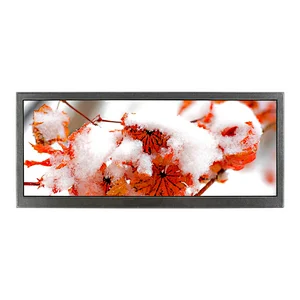 10.3inch lcd monitor HSD103KPW2-A10 with 1920X720 high resolution lcd display module