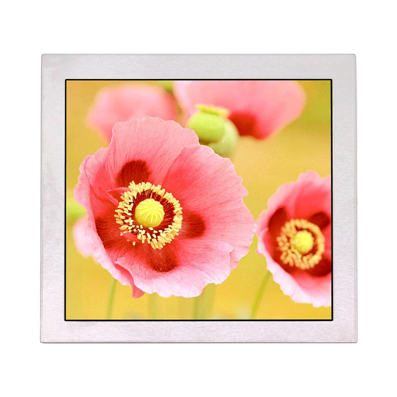5.0inch PD050OX5 480X480 LCD Screen lcd screen screen guard lcd screen guarder lcd screen touch screen 5inch lcd screen 800x480 tft lcd screen PD050OX5 5