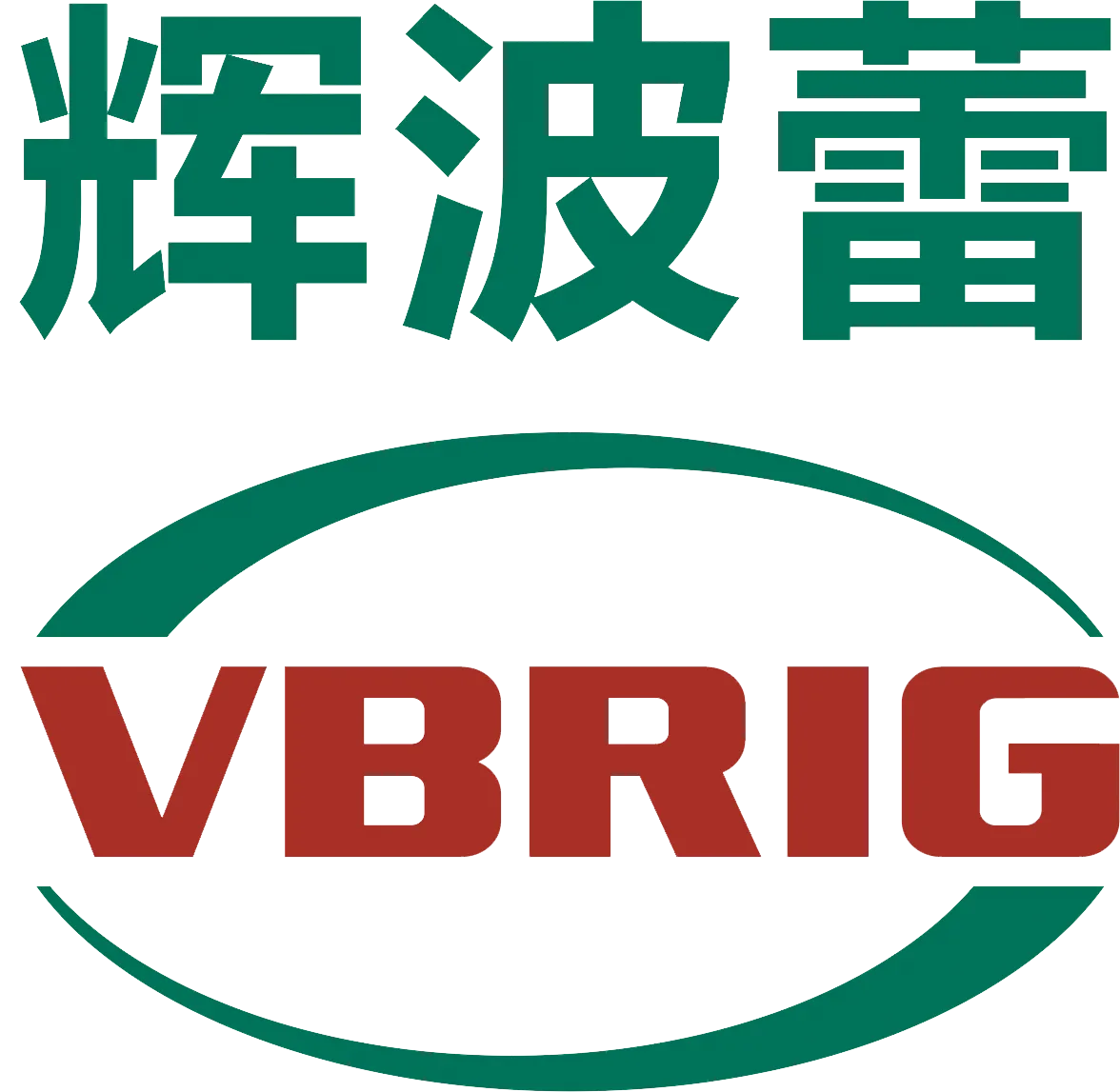 Zhejiang V-Bright Auto Fittings Co.,Ltd.