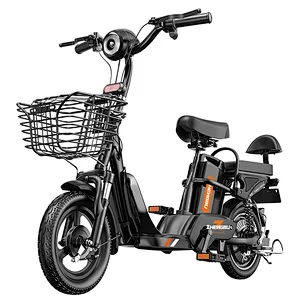350W adult electric bike 48V bicycle with wholesale price for sale