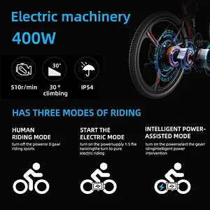 26'' 48v10ah 250w  one wheel MTB e-bikes electric Bicycle Foldable mountain bike