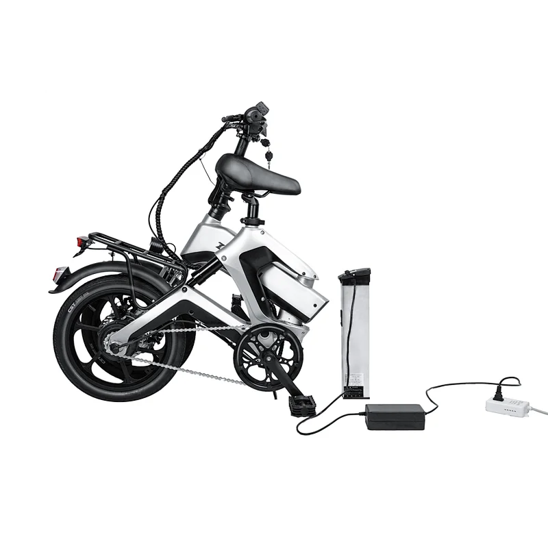 Magnesium alloy bicycles for adults e bike 2021 36V 250W folding electric bike