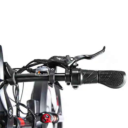 MTB electric bike