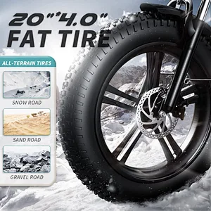 ZHENGBU XB 20inch folding fat tire ebike 48V 10Ah 350W 500W 750W electric bike