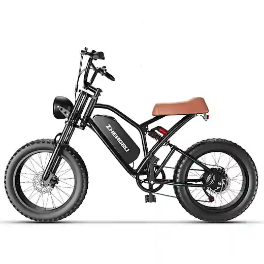 48V 1000W electric bike