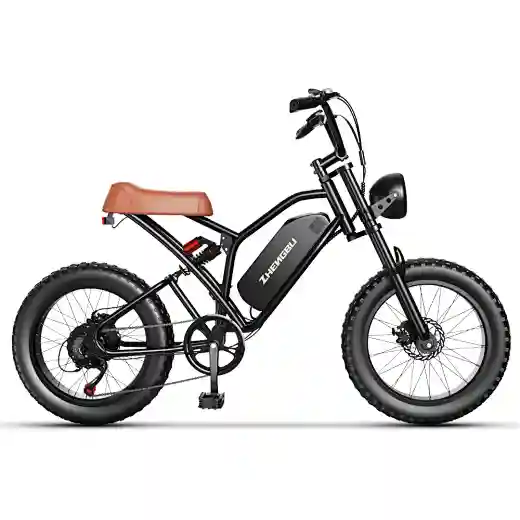 electric bicycle