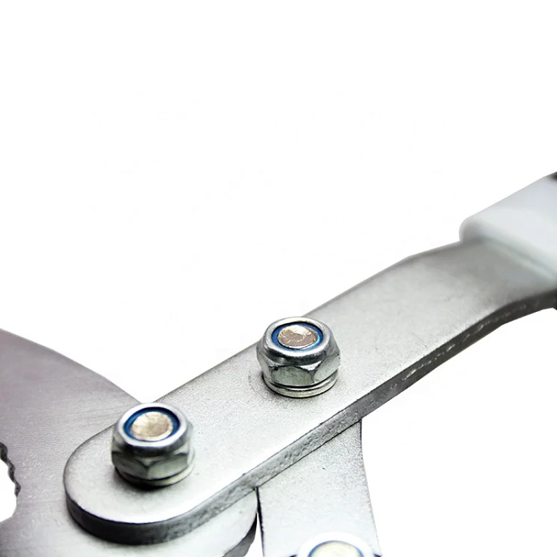 S02046002 Sali High Quality Professional Steel Handle Loppers