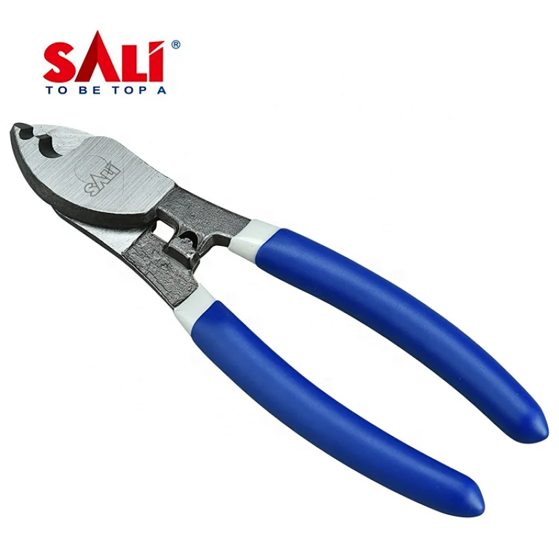 SALI 6