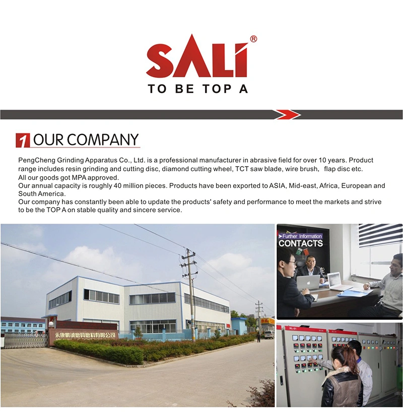 sali-_01.jpg