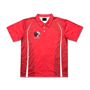 100% Polyester Custom Made Unisex Cricket Jerseys Design