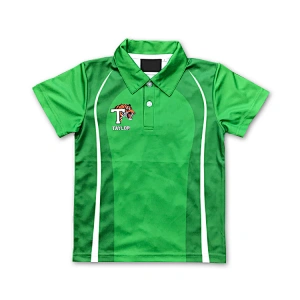Quality custom best 2020 new design cricket jerseys