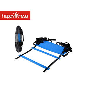 agility ladder