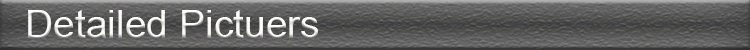 women fashion waist belt,fashionable women belt,women waist belt,waist belt for women,fashion women waist belt