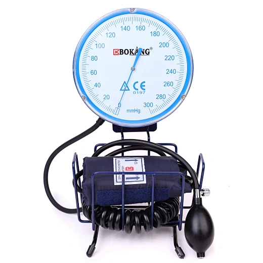 Wall-Mounted Blood Pressure Monitor
