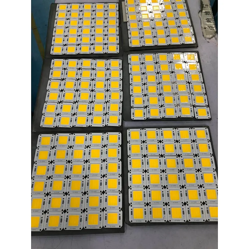 High Voltage 20W 30W 50W 100W 150W Cool White COB Chip