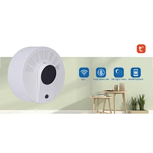Smoke Detector Camera / Smoke Alarm Camera