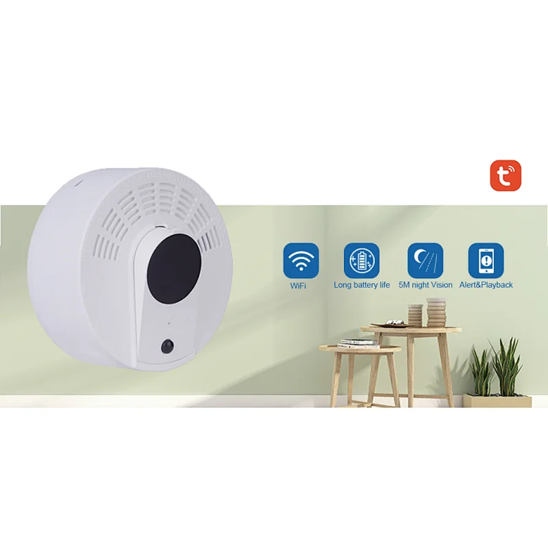Smoke Detector Camera / Smoke Alarm Camera