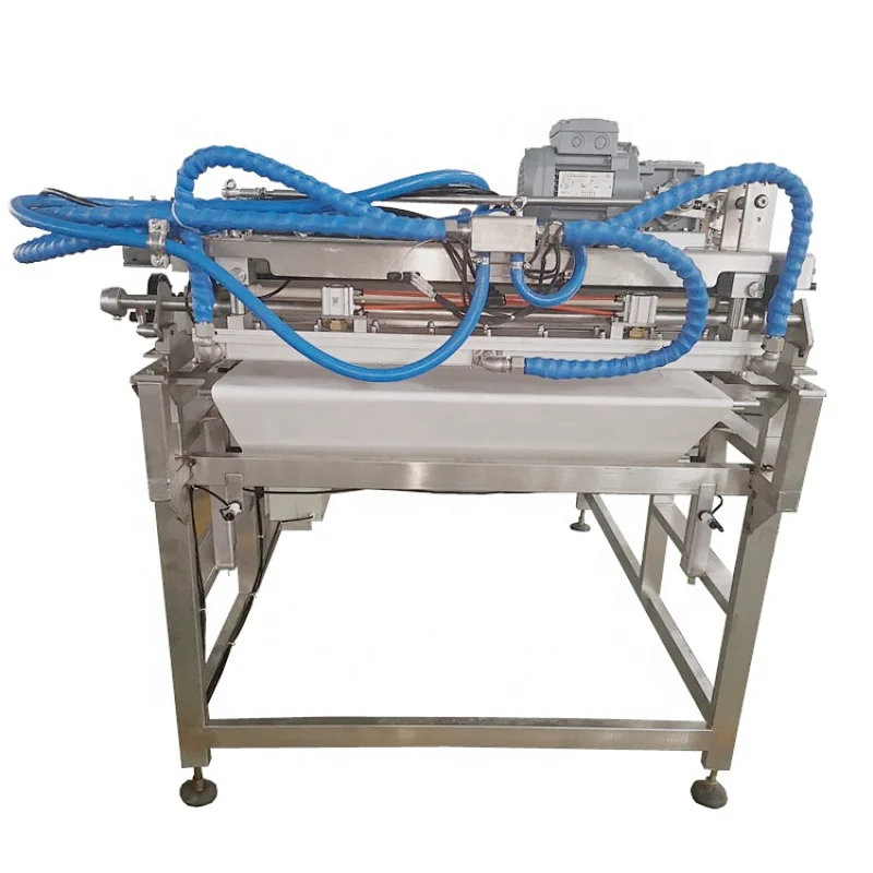 QLH1200 Cchocolate Decorator Line