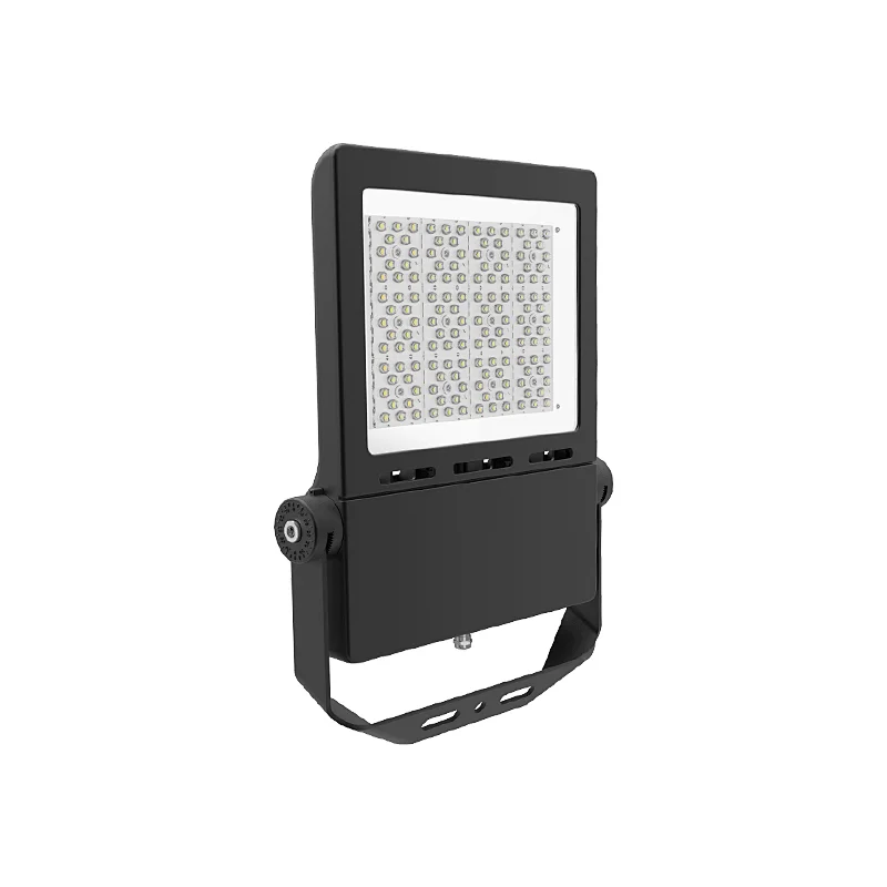 Hot selling Outdoor IP65 LED Flood light 300W Accurate adjustable mounting breaket multiple lens options