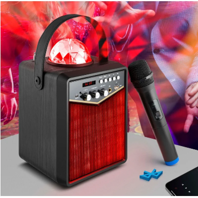 Wood party speaker