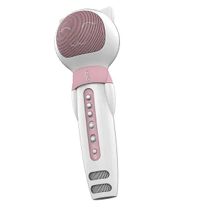 Karaoke microphone