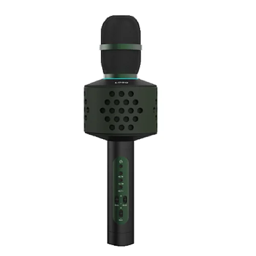 karaoke microphone