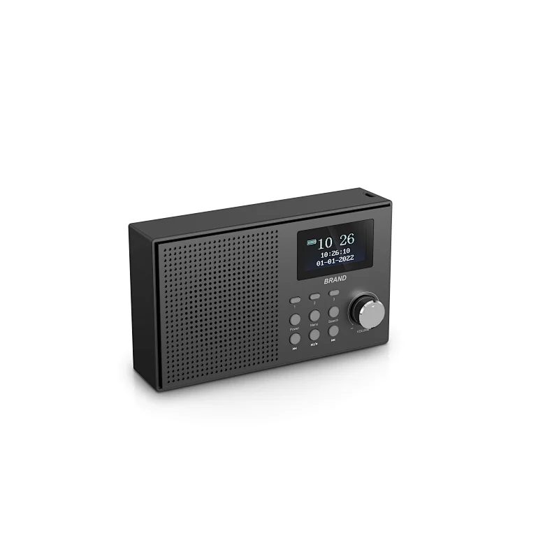 DAB Radio speaker