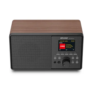 DAB Radio speaker