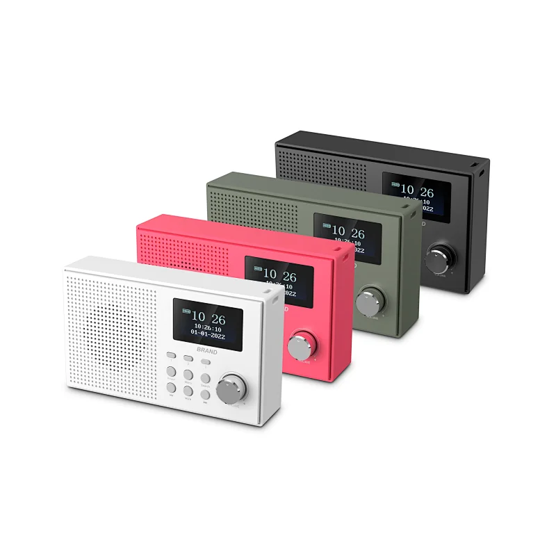 DAB Radio speaker