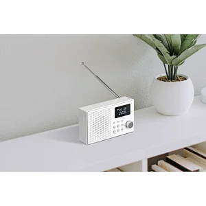 DAB Radio speaker