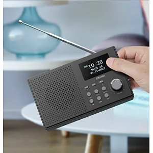 DAB Radio speaker