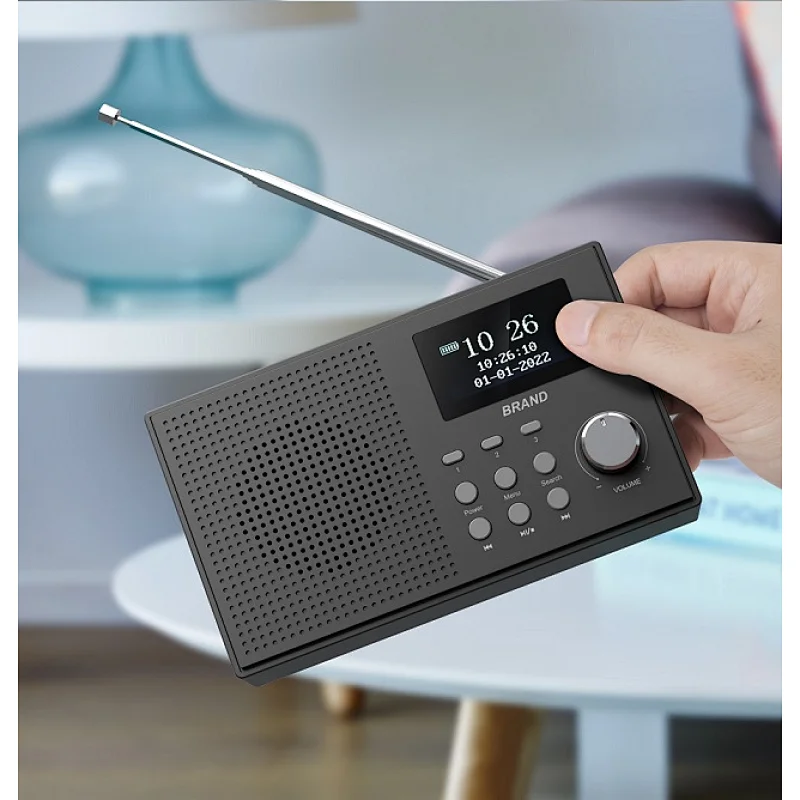 DAB Radio speaker
