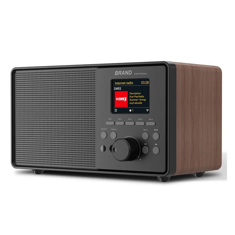 DAB Radio speaker