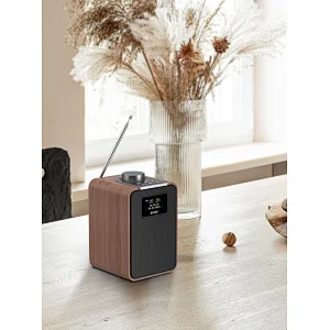 DAB/DAB+ Portable Bluetooth Speaker D-08