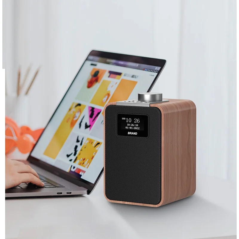 DAB/DAB+ Portable Bluetooth Speaker D-08