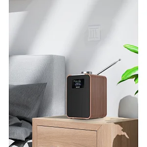 DAB/DAB+ Portable Bluetooth Speaker D-08