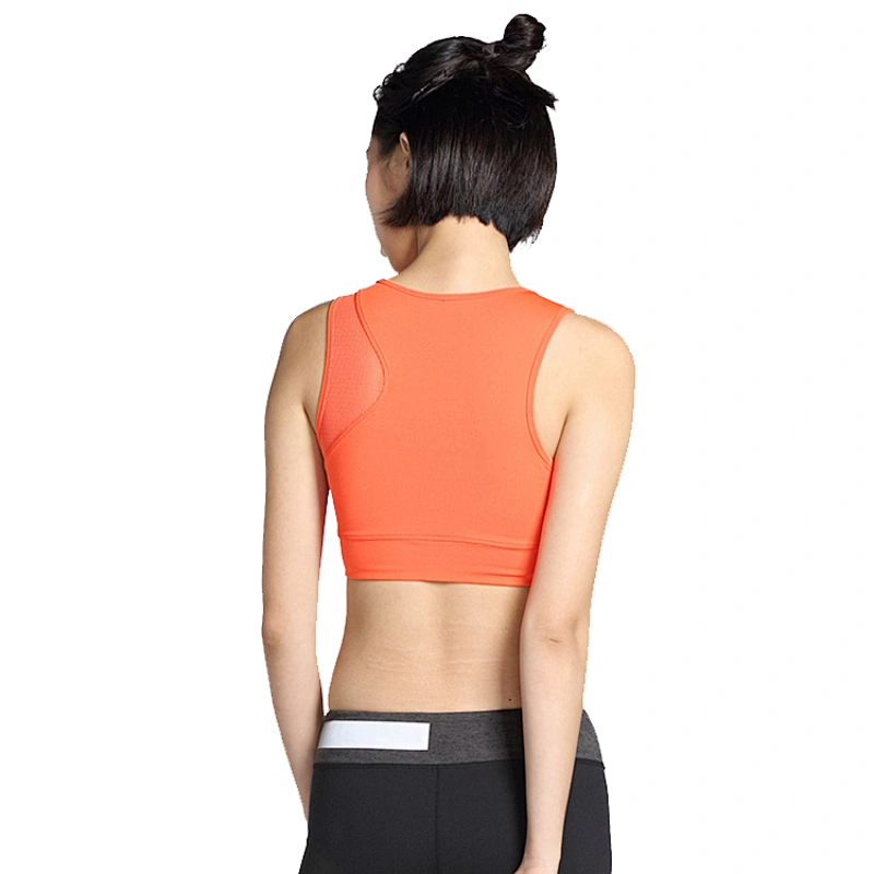 sexy mesh gym ladies high quality black sports bra