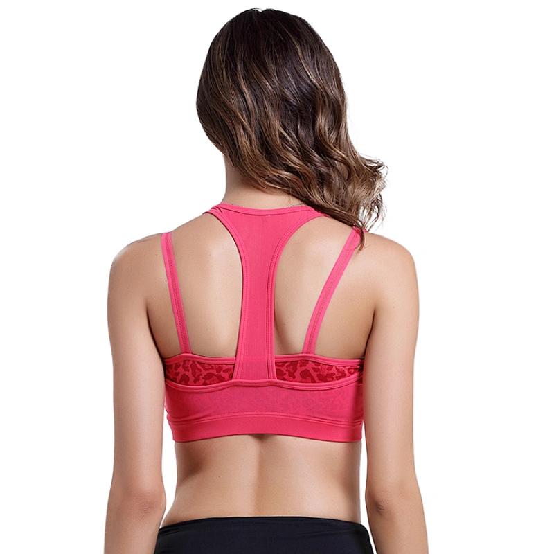push up  yoga ladies custom 2020 womens sports bra