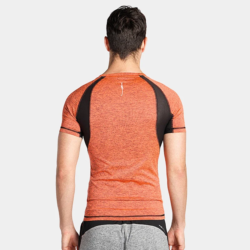 high quality workout sports dry fit mens t shirt gym fitness t shirt sport men
